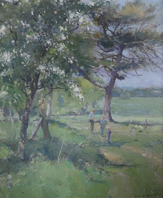 David Jan Curtis, two oils on board, May Blossom & Walkers and Fallen Tree, signed 30 x 24cm & 20 x 30cm.